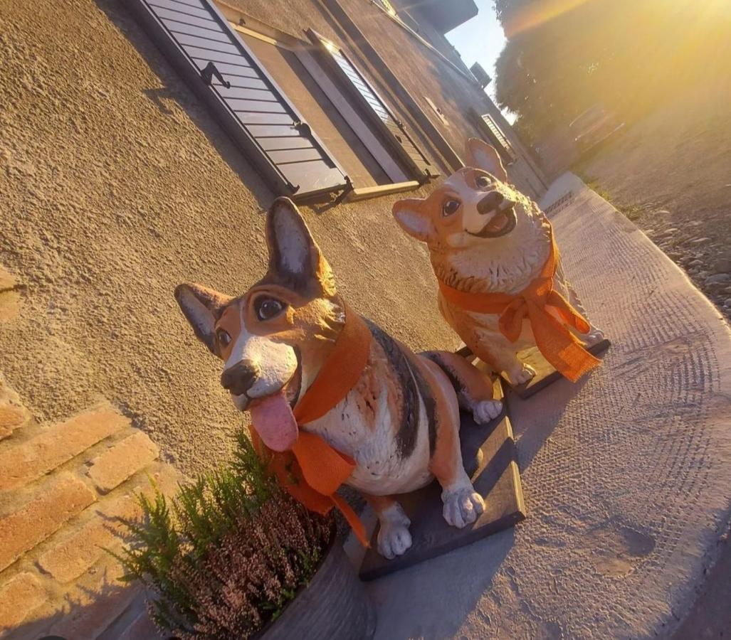 La Tana Dei Corgi Bed & Breakfast Moncrivello ภายนอก รูปภาพ