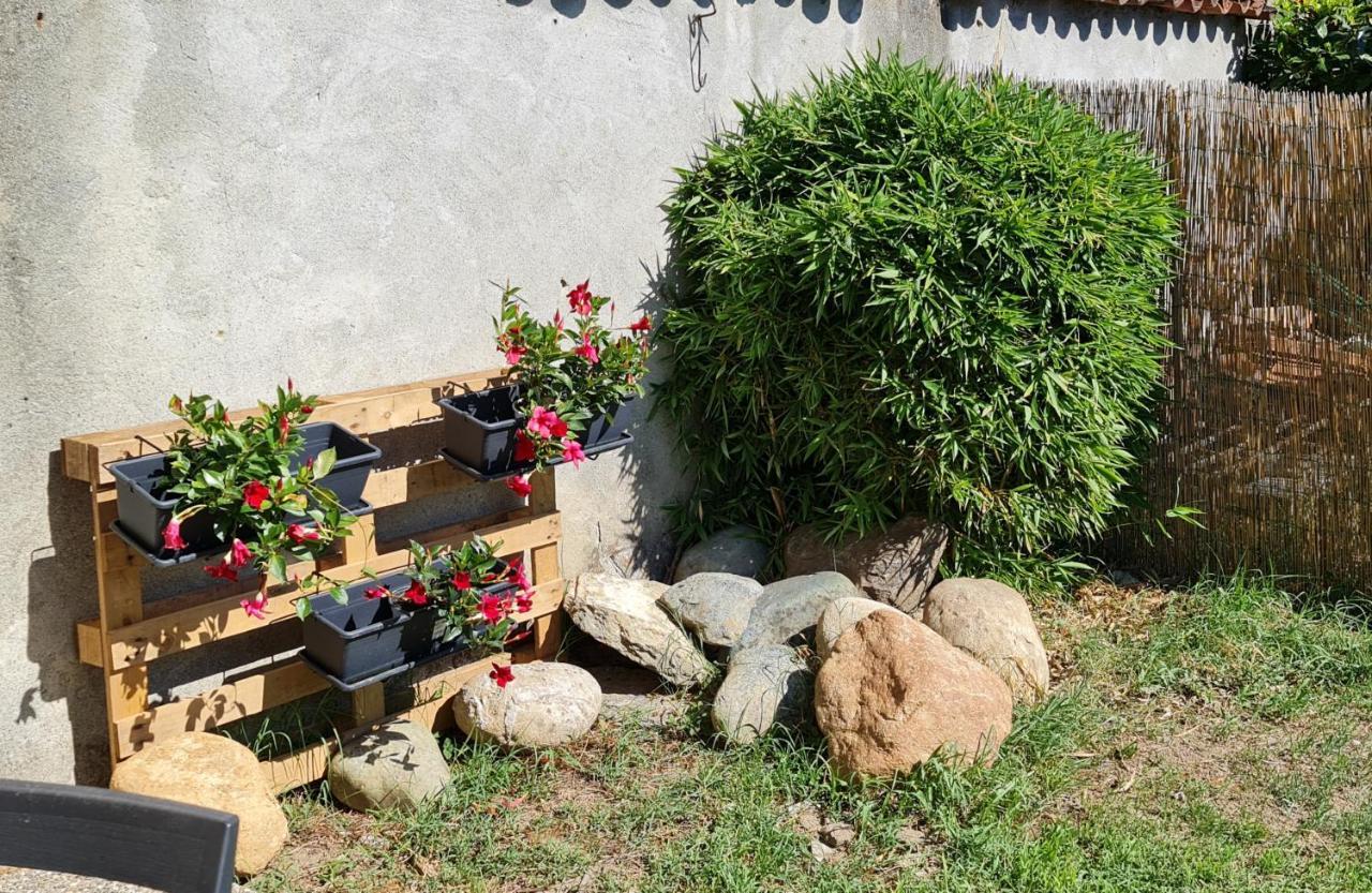 La Tana Dei Corgi Bed & Breakfast Moncrivello ภายนอก รูปภาพ