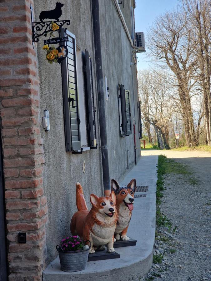 La Tana Dei Corgi Bed & Breakfast Moncrivello ภายนอก รูปภาพ