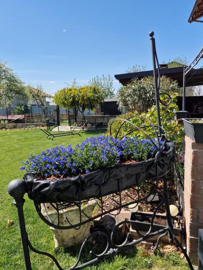 La Tana Dei Corgi Bed & Breakfast Moncrivello ภายนอก รูปภาพ