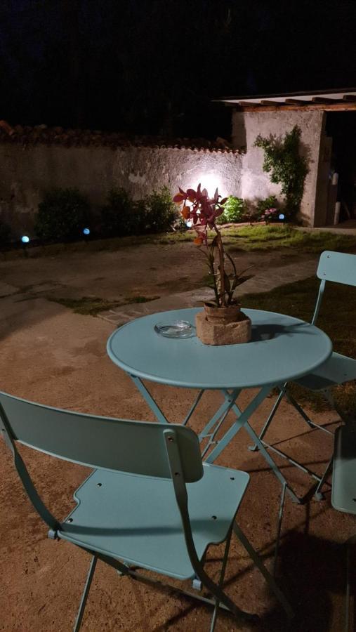 La Tana Dei Corgi Bed & Breakfast Moncrivello ภายนอก รูปภาพ